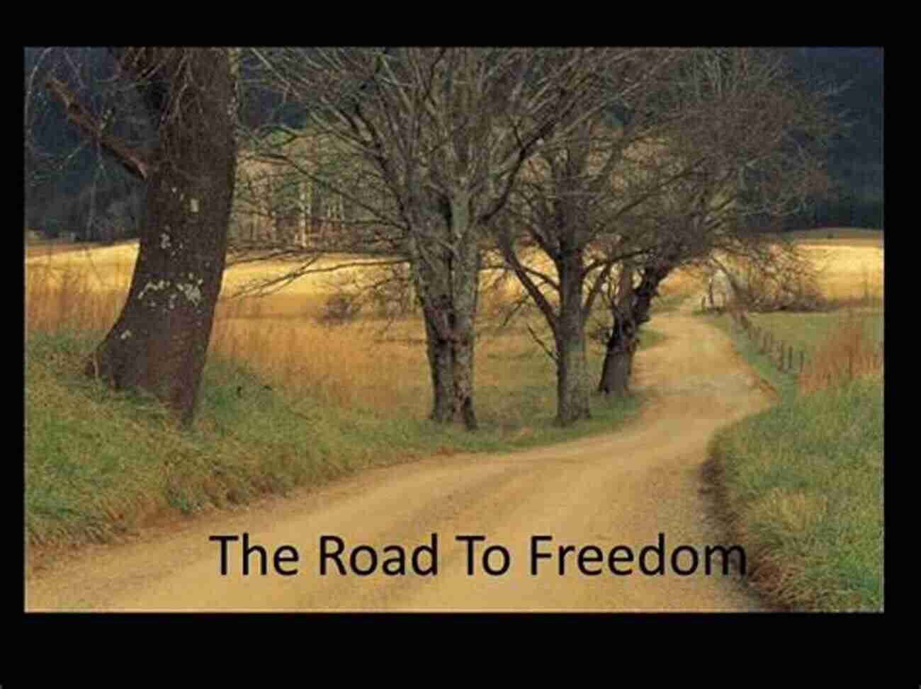 The Legacy Of The Road To Freedom Underground Railroad : The Road To Freedom U S Economy In The Mid 1800s History Of Slavery History 5th Grade Children S American History Of 1800s