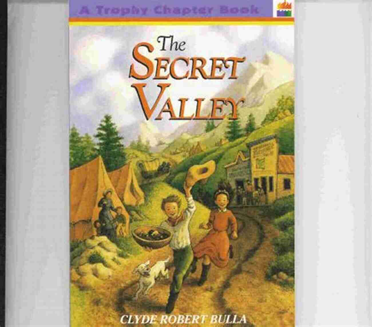 The Secret Valley Trophy Chapter Paperback A Thrilling Adventure Novel With Hidden Secrets The Secret Valley (Trophy Chapter (Paperback))