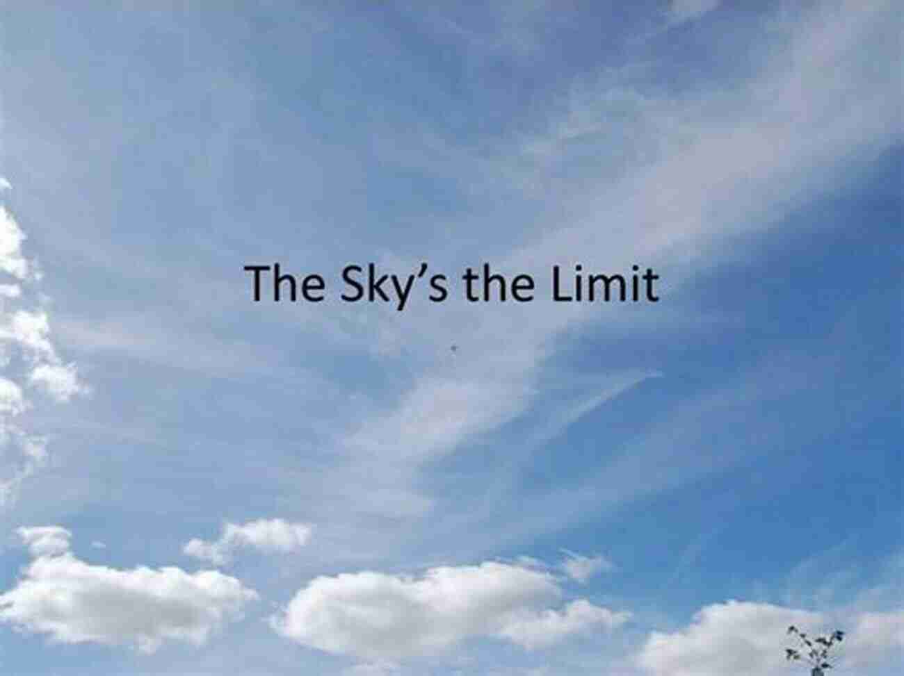 The Sky The Limit The Sky S The Limit: The Joe Dial Story