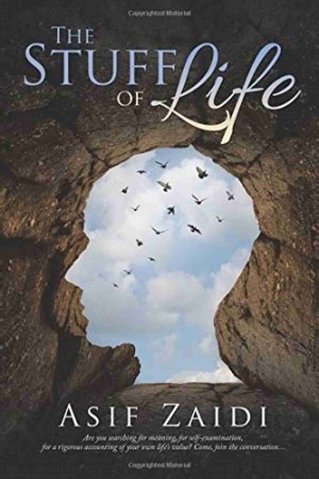 The Stuff Of Life Book Cover The Stuff Of Life Karen Karbo