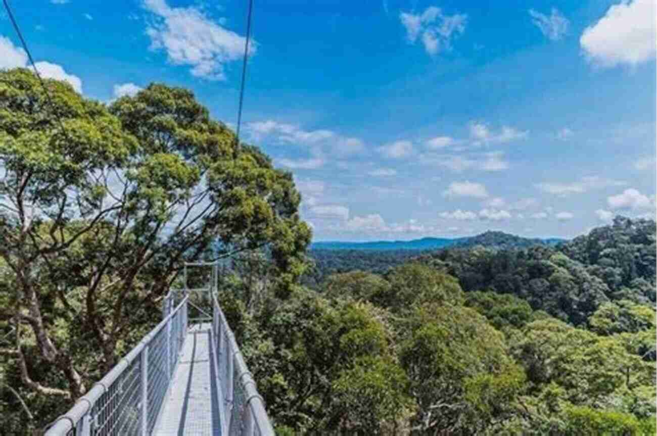 The Ulu Temburong National Park In Brunei: A Sanctuary Of Biodiversity Civilizing Nature: National Parks In Global Historical Perspective (Environment In History: International Perspectives 1)