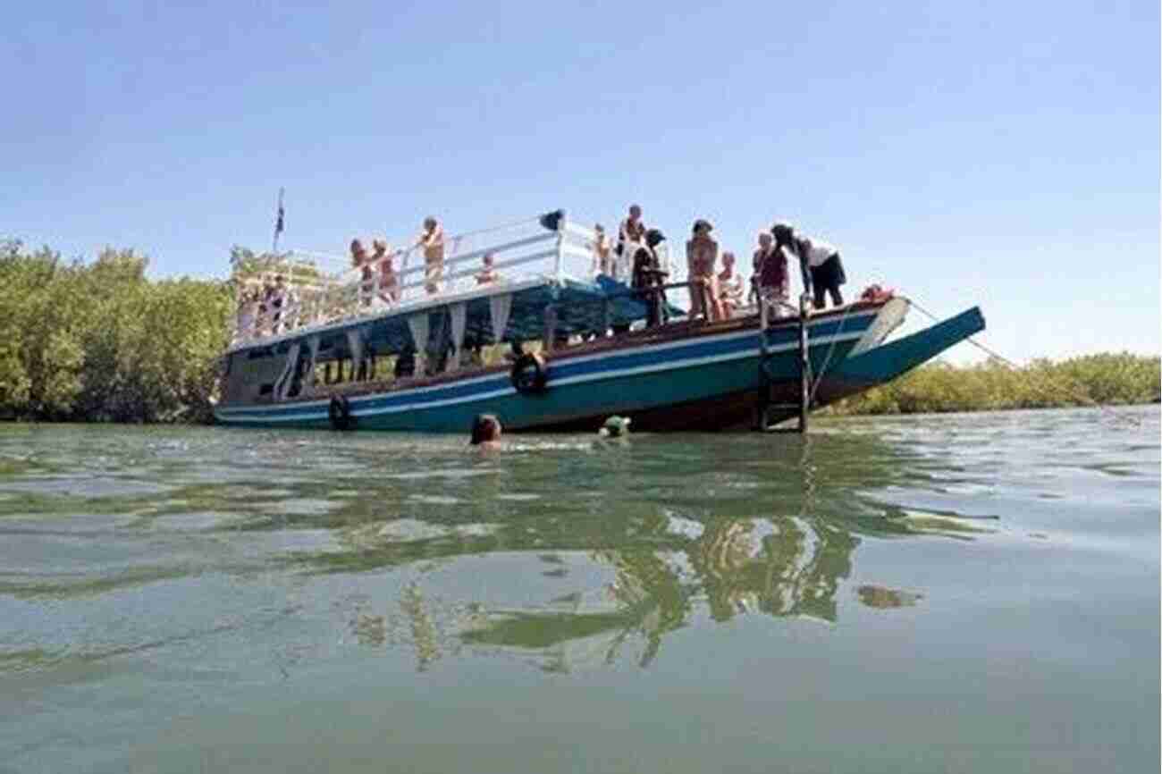 The Stunning River Gambia Offers A Unique And Immersive Experience The Gambia (Bradt Travel Guides)