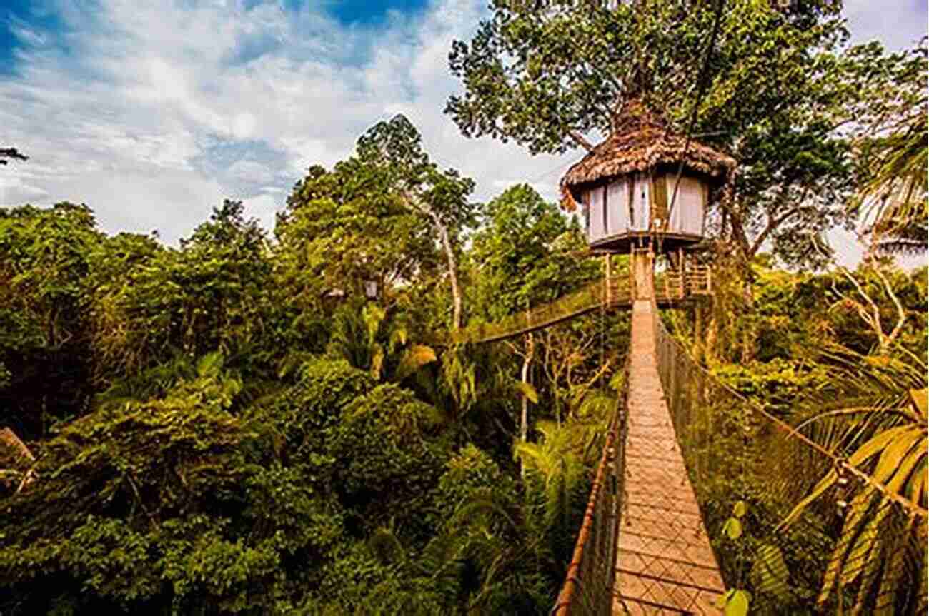 Treehouses In The Amazon Rainforest A Room With A View