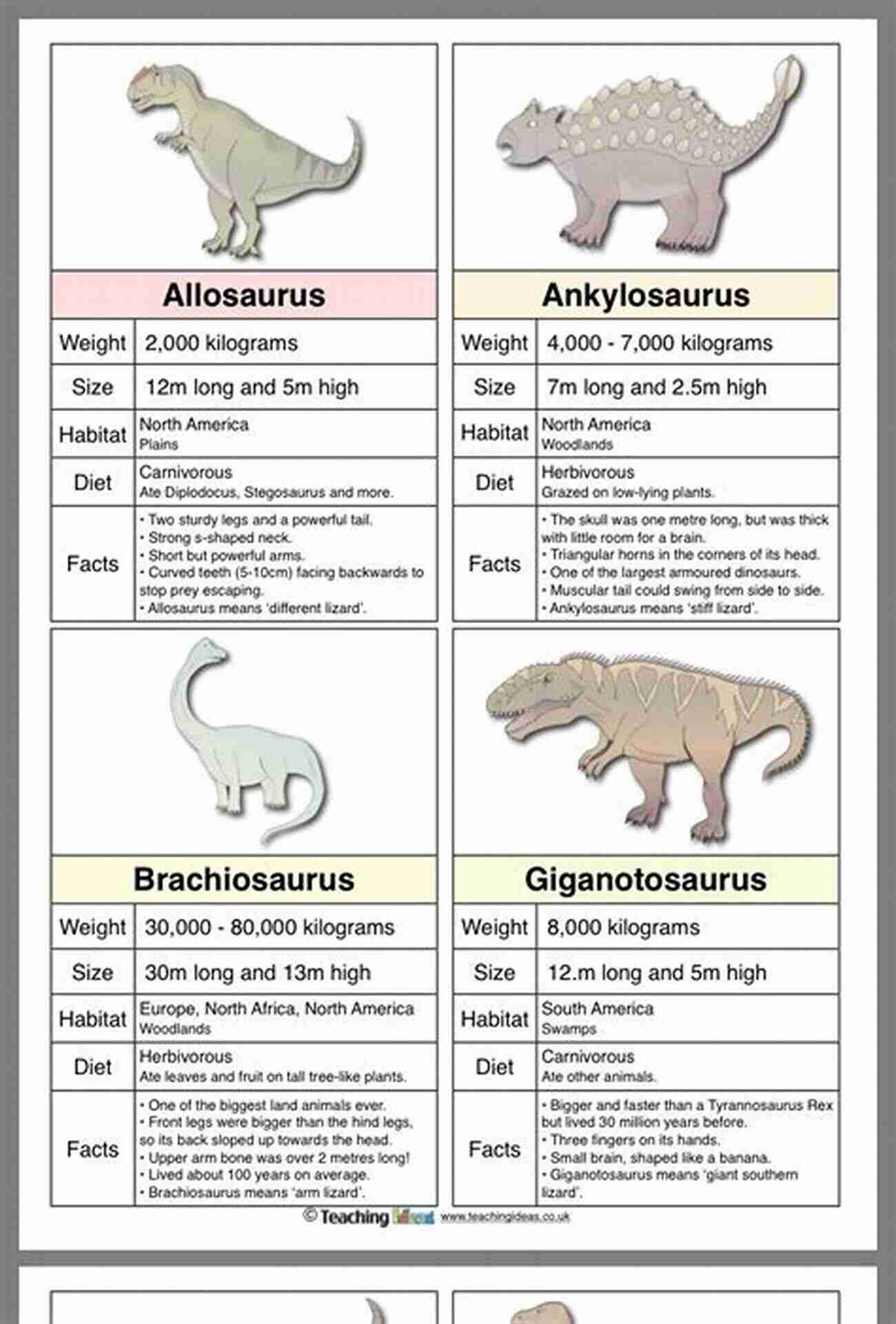 Triceratops Dinosaur Multiplication Flash Cards Fun Facts: 1 (Maths Dinosaur Books)