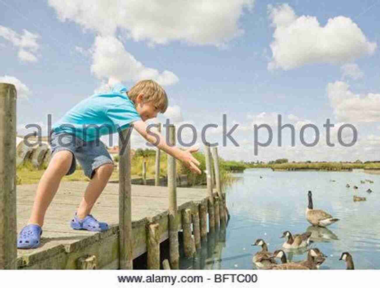 Two Men Feeding Ducks In A Serene Lake Surrounded By Nature 8 Men And A Duck: An Improbable Voyage By Reed Boat To Easter Island