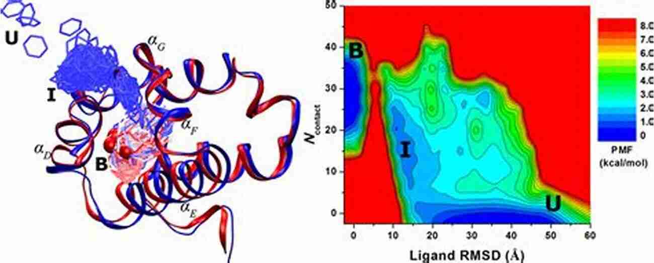 Unconstrained Molecular Dynamics Simulation Classical Approach To Constrained And Unconstrained Molecular Dynamics