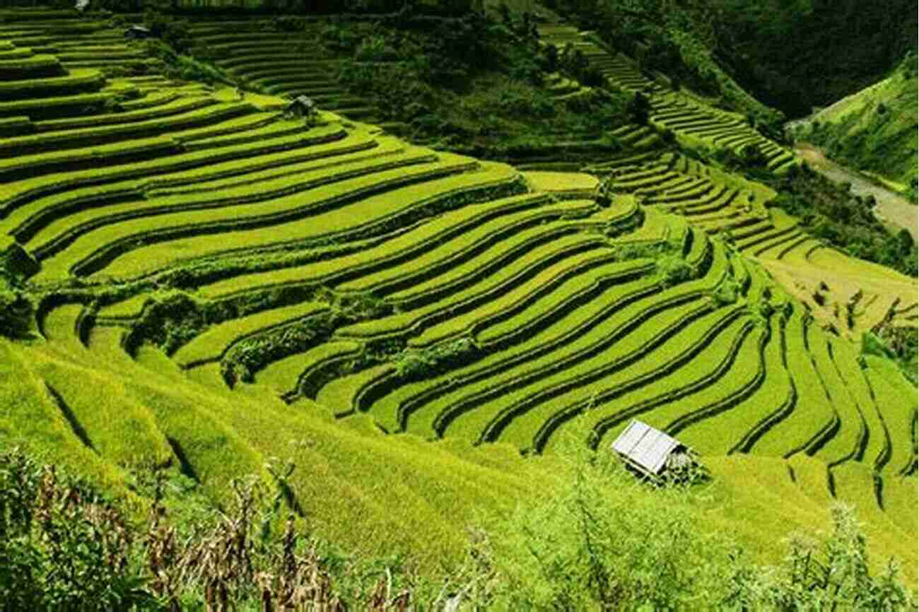 Vietnam Rice Terraces Get Lost (The Anna 5)