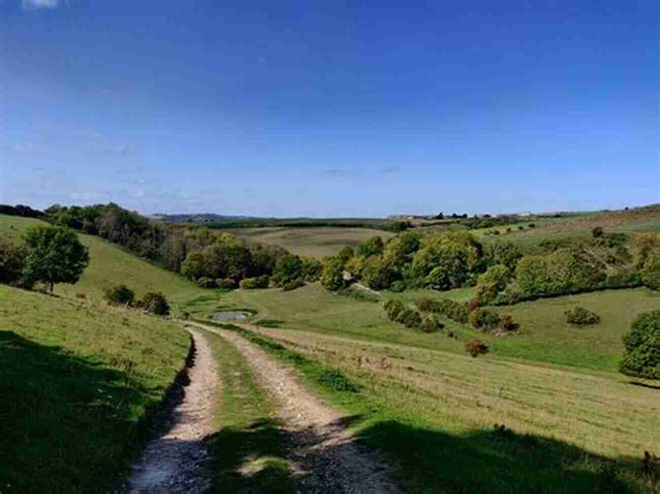 Walks In The South Downs National Park Walks In The South Downs National Park: 40 Circular Day Walks Including Beachy Head And Seven Sisters (Cicerone Walking Guides)