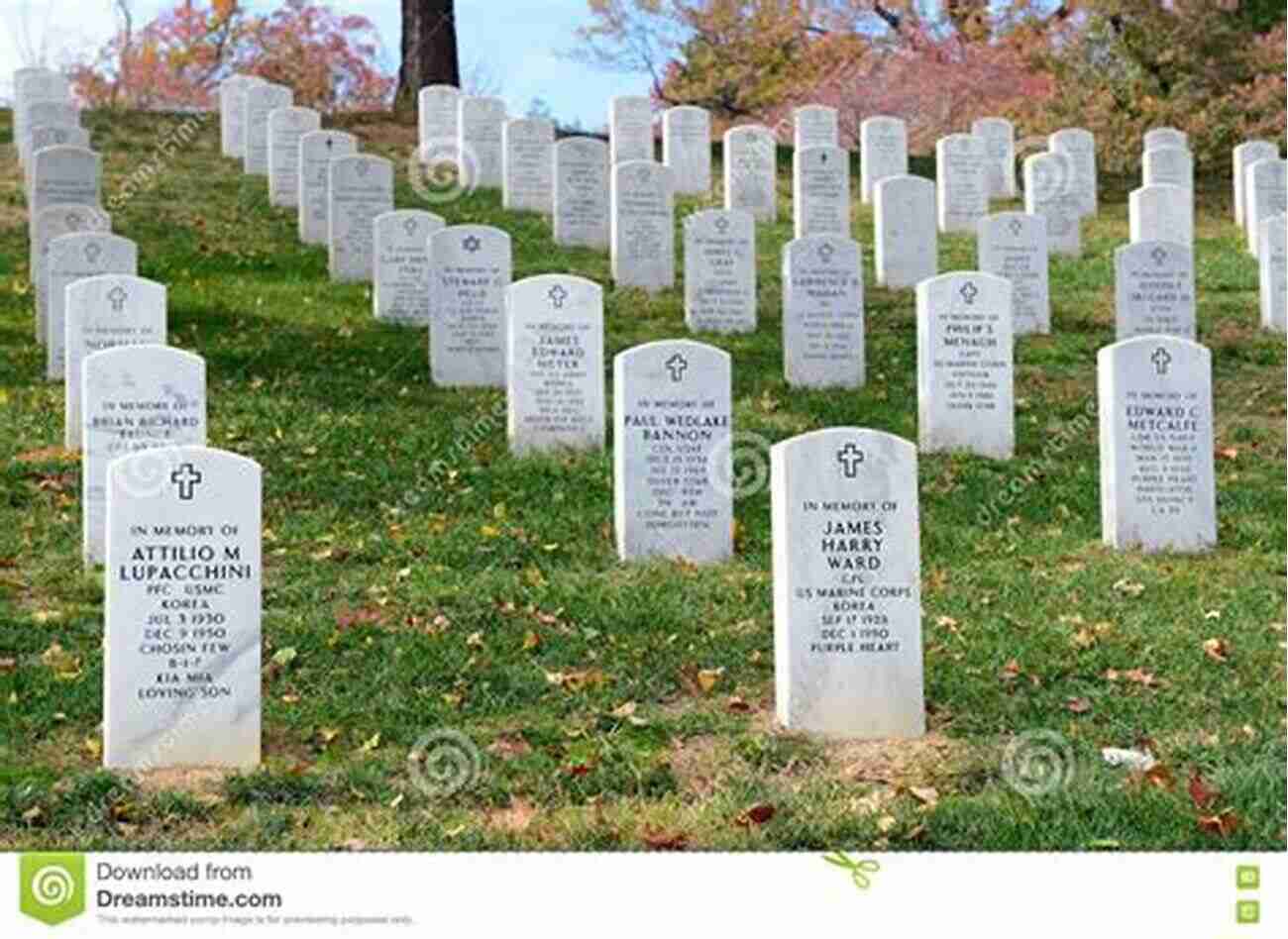 Weathered Tombstones That Tell Tales Of Bravery And Sacrifice Snake Hill: An Investigation Of A Military Cemetery From The War Of 1812