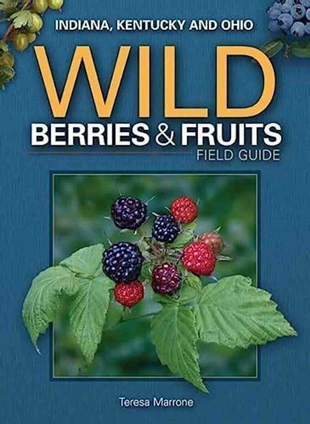 Wild Berries Field Guide Wild Berries Fruits Field Guide Of Minnesota Wisconsin Michigan (Wild Berries Fruits Identification Guides)