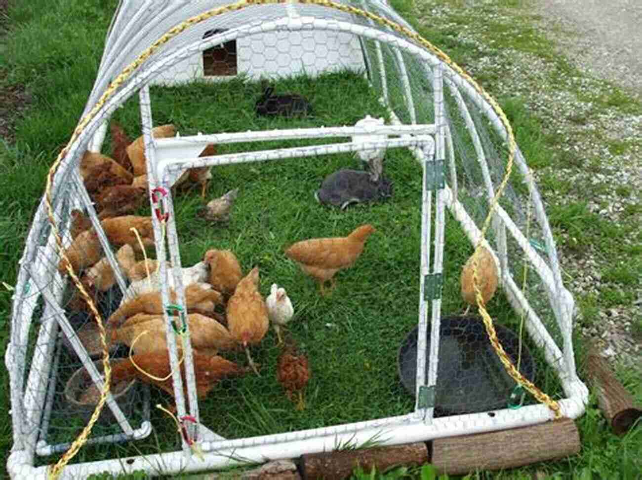 Chicken Tractors A Beginners Guide To Keeping Backyard Chickens Breeds Guide Chicken Tractors Coops Hatching Raising Chicks Plus More (Simple Living)