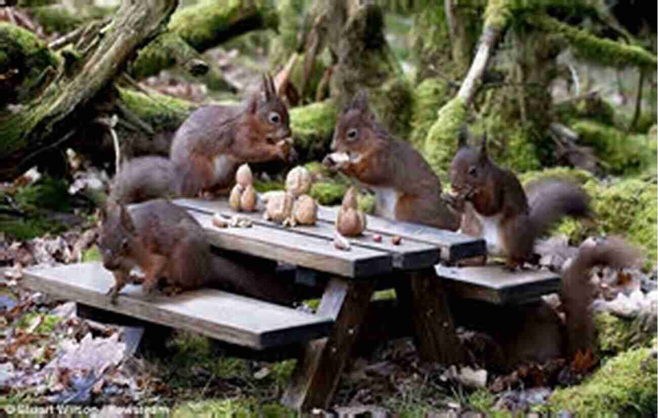 Rat Children And Squirrel Enjoying A Picnic The Little Rat: Children S Rodent