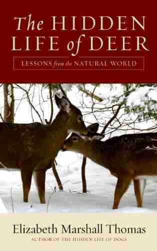 The Hidden Life Of Deer: Lessons From The Natural World