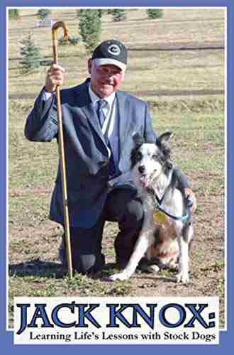 Jack Knox: Learning Life s Lessons with Stock Dogs