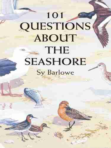 101 Questions About The Seashore Sy Barlowe