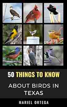 50 Things to Know About Birds in Texas : Birding in the Texas (50 Things to Know About Birds United States)