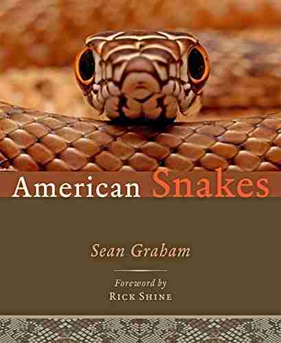 American Snakes Sean P Graham