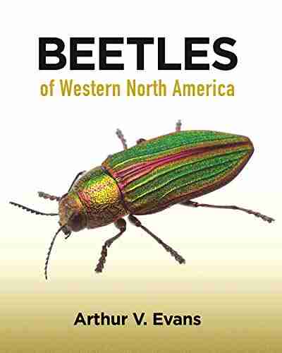 Beetles Of Western North America