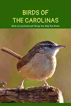 Birds Of The Carolinas: Birds In Carolinas And Things You May Not Know: Birds Of The Carolinas Facts