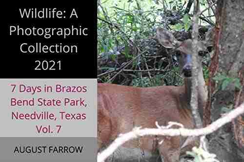 Wildlife: 7 Days in Brazos Bend State Park Needville Texas 2021 Vol 7: A Photographic Collection (Wildlife: Brazos Bend State Park Texas)