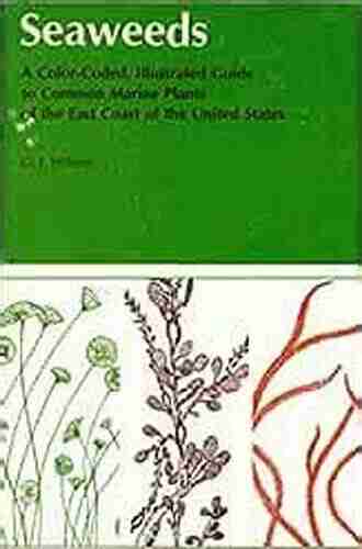 Seaweeds: A Color Coded Illustrated Guide To Common Marine Plants Of The East Coast Of The United States (Keystone Books)