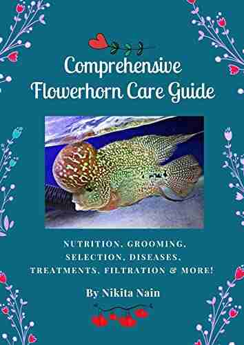 Comprehensive Flowerhorn Care Guide Nikita Nain