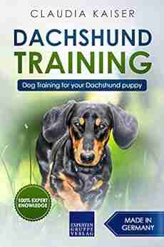 Dachshund Training: Dog Training for your Dachshund puppy