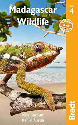 Madagascar Wildlife: A Visitor S Guide (Bradt Travel Guides (Wildlife Guides))