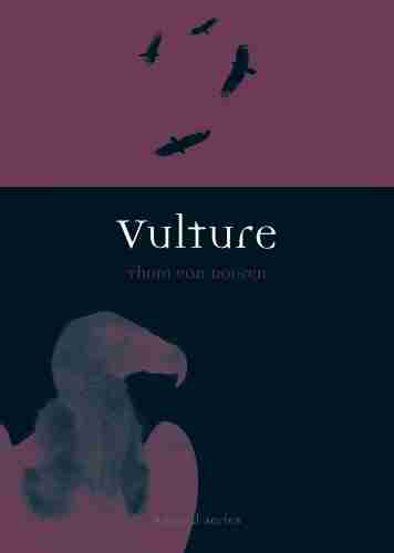 Vulture (Animal Series) Christopher Burgess