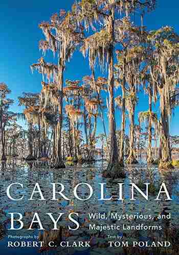 Carolina Bays: Wild Mysterious And Majestic Landforms