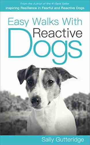 Easy Walks With Reactive Dogs (Mission Possible Solutions 3)