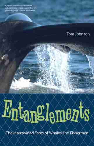 Entanglements: The Intertwined Fates Of Whales And Fishermen