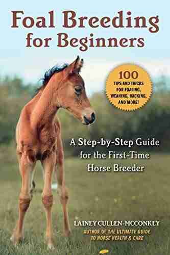 Foal Breeding For Beginners: A Step By Step Guide For The First Time Horse Breeder