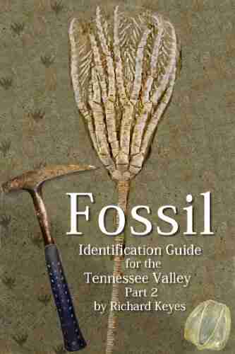 Fossil Identification Guide For The Tennessee Valley Part 2