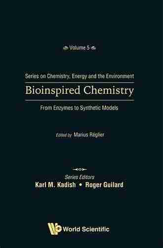 Bioinspired Chemistry: From Enzymes To Synthetic Models (Series On Chemistry Energy And The Environment 5)