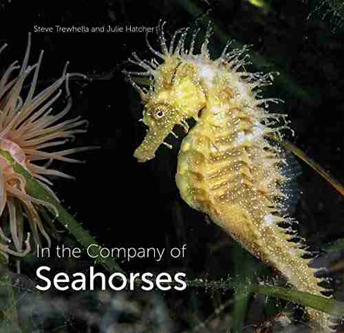 In The Company Of Seahorses (Wild Nature Press)