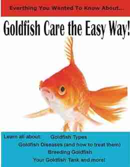 Goldfish Care The Easy Way