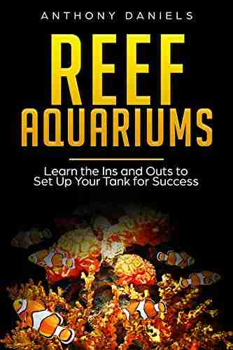 Reef Aquariums: Learn The Ins And Outs To Set Up Your Tank For Success