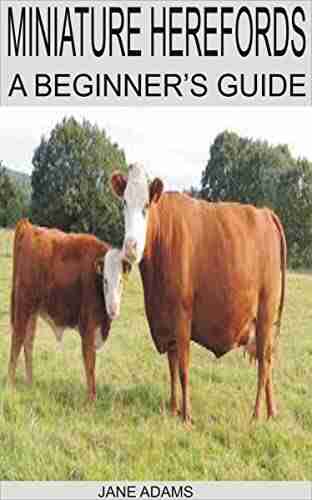 MINIATURE HEREFORDS: A BEGINNER S GUIDE