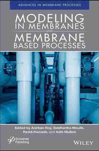 Modeling In Membranes And Membrane Based Processes: Industrial Scale Separations (Advances In Membrane Processes)