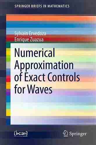 Numerical Approximation of Exact Controls for Waves (SpringerBriefs in Mathematics)