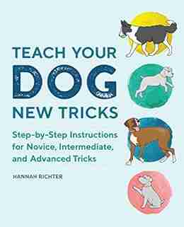 Teach Your Dog New Tricks: Step By Step Instructions For Novice Intermediate And Advanced Tricks