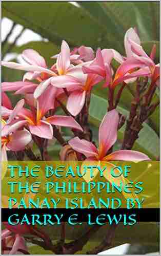 The Beauty Of The Philippines Panay Island By Garry E Lewis (Life Love Legends Of The Philippines 3)