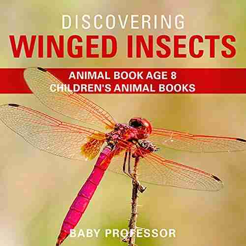 Discovering Winged Insects Animal Age 8 Children s Animal