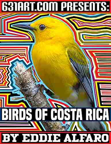 Birds of Costa Rica (Magnificent Animal Series)