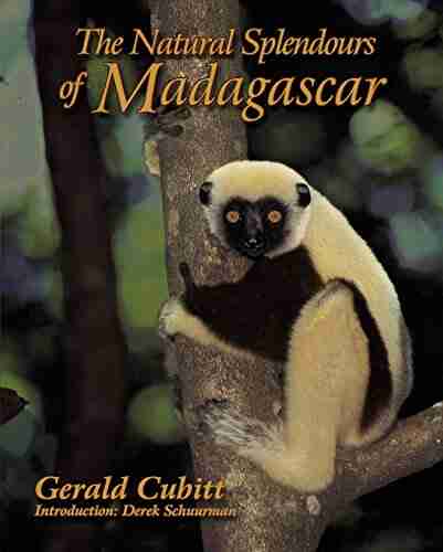 The Natural Splendours of Madagascar