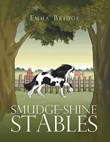 Smudge Shine Stables Emma Bridge