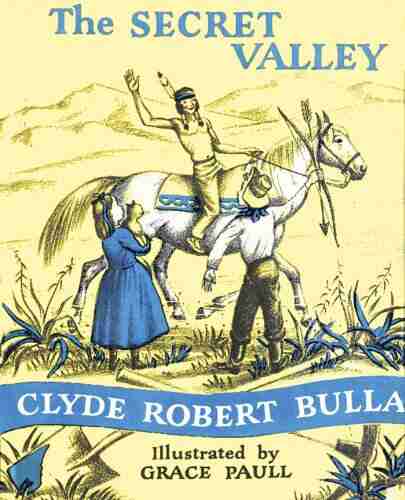 The Secret Valley (Trophy Chapter (Paperback))