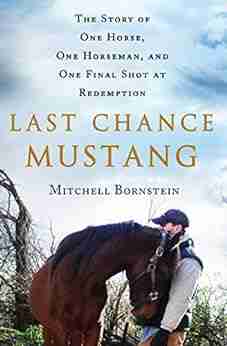 Last Chance Mustang: The Story of One Horse One Horseman and One Final Shot at Redemption