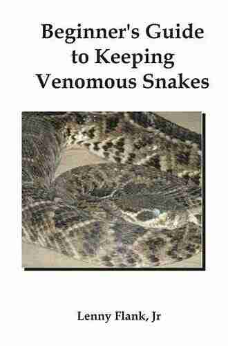 Beginners Guide To Keeping Venomous Snakes